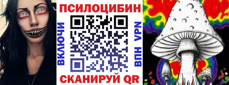 закладка Киров Псилоцибиновые грибы Magic Shrooms